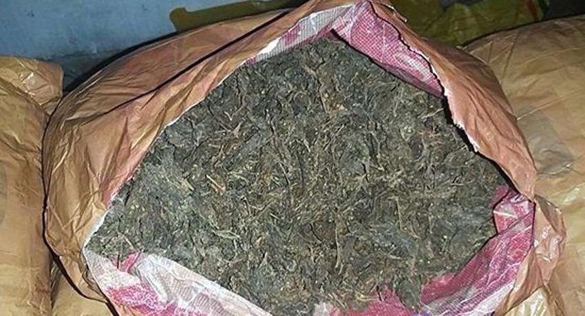 37 kg of Kerala Ganja worth Rs. 11 Mn seized