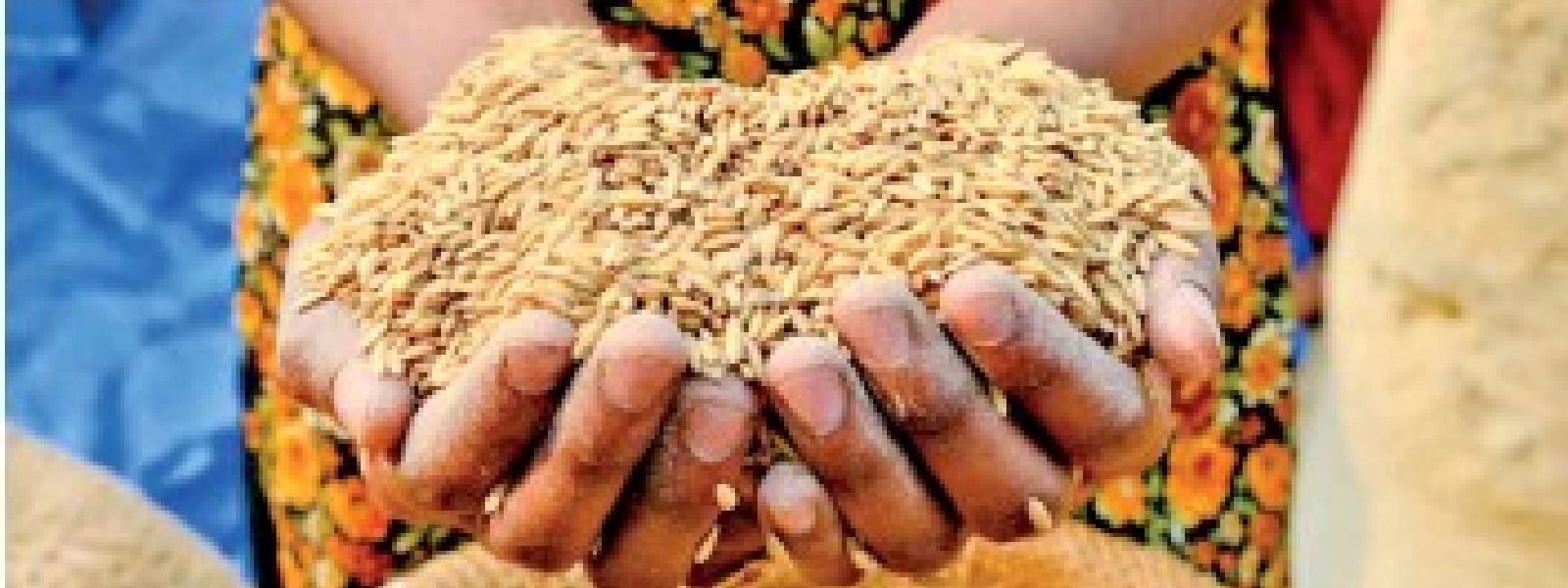 Three in Ten Sri Lankans food insecure, warns WFP