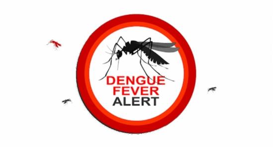 Over 49,000 dengue cases so far in 2022