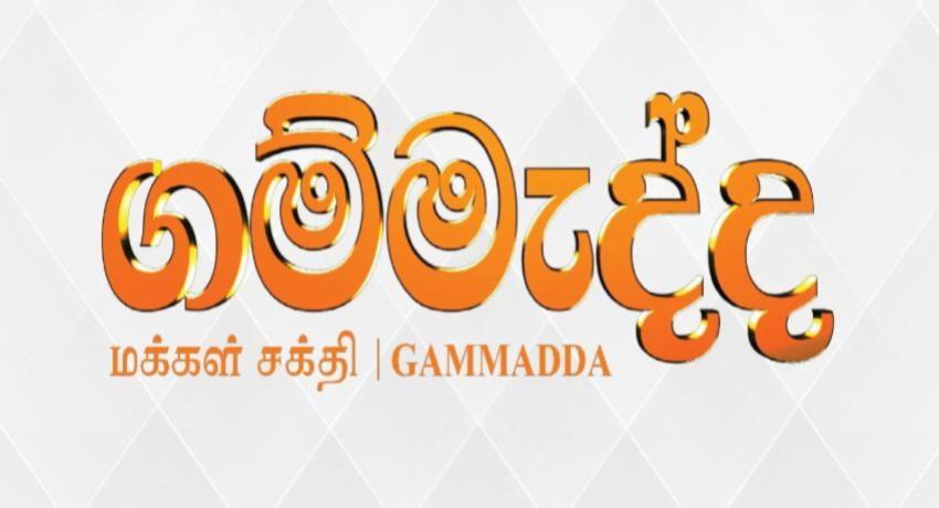 Gammadda: Day 2 to visit Jaffna, Kalutara, Matale villages