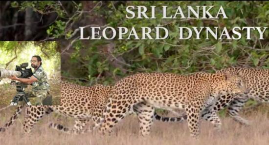 Sri Lanka's first Wild Life Documentary on Nat Geo