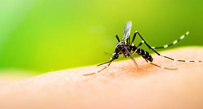 Already over 4100 dengue cases reported in Sri Lanka in 2023