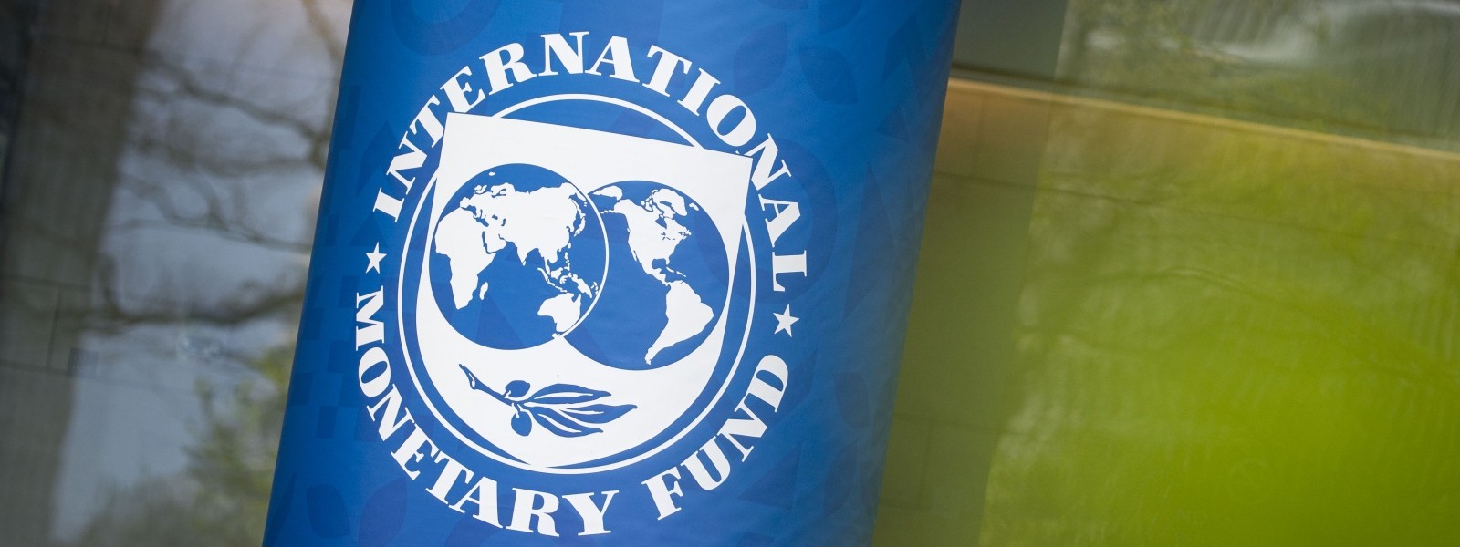 Sustaining reform momentum is critical - IMF