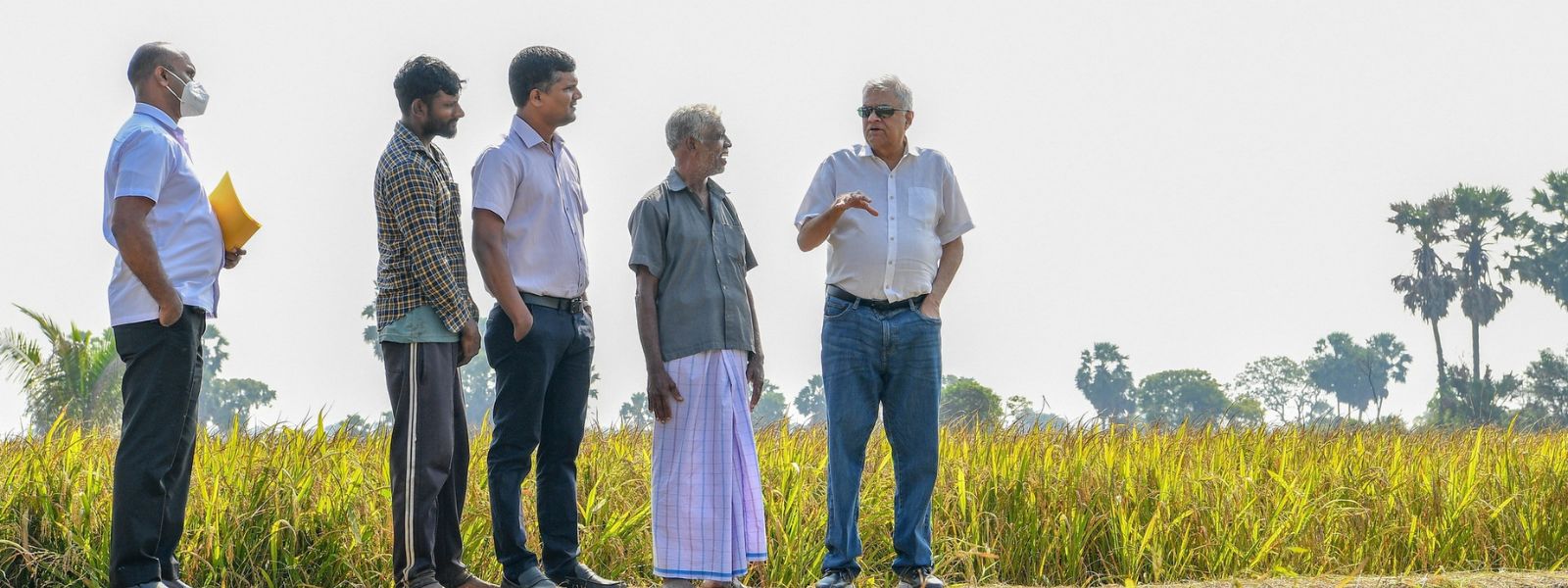 President tells to buy 1kg of paddy for Rs. 100/-