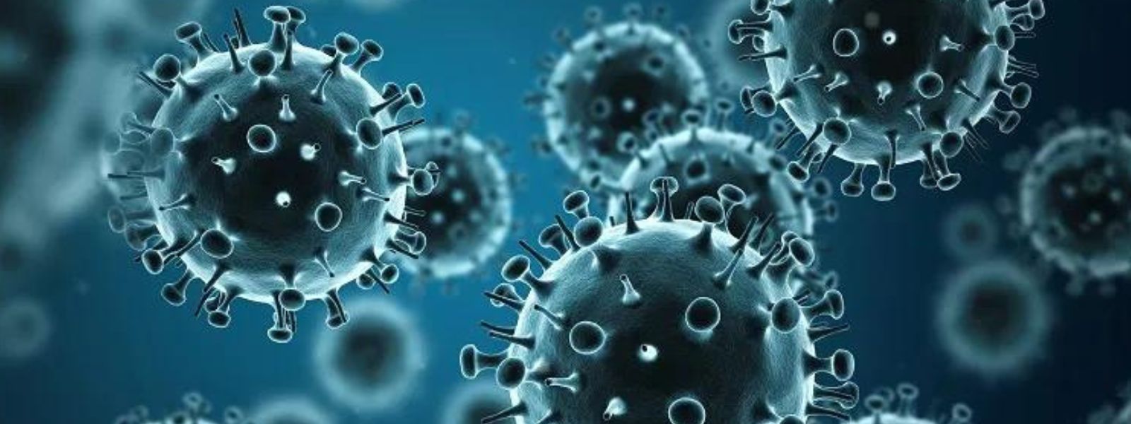 Influenza, Dengue and Rat Fever on the rise