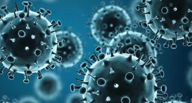 Influenza, Dengue and Rat Fever on the rise