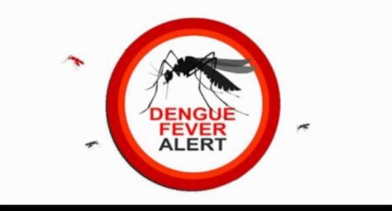 Dengue cases reported daily at an alarming level