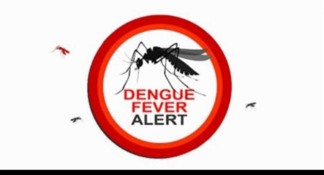 Dengue cases reported daily at an alarming level