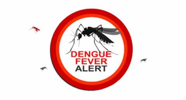 25% of dengue cases reported are Children