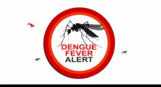 Sri Lanka nears 40,000 dengue cases in 2023