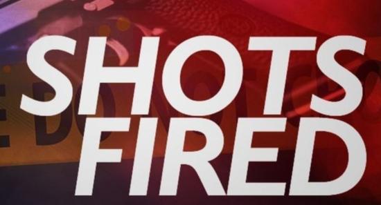 Cops shoot wanted man in the leg during tussle