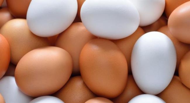 Approval granted to sell Eggs imported from India