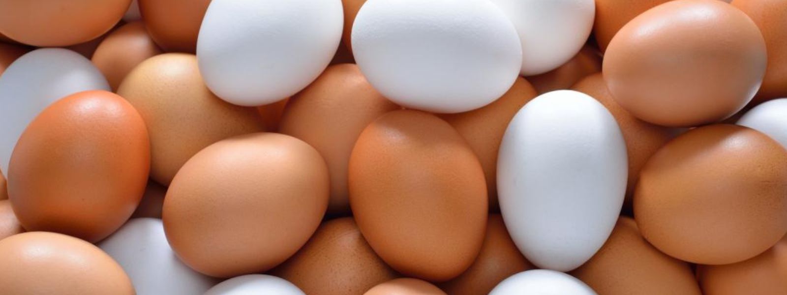 Egg prices drop in Sri Lanka after control prices were removed