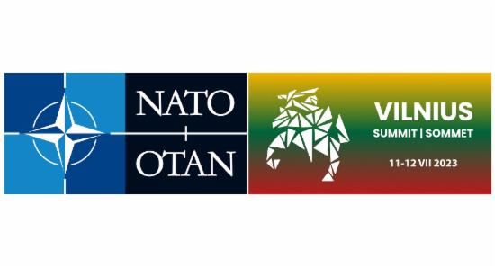 The NATO Vilnius summit 2023