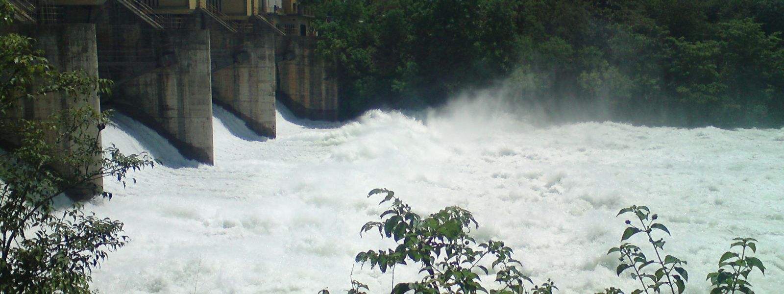 Water released from Samanala Wewa