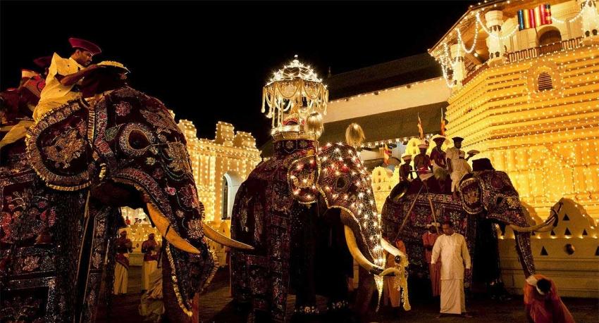 Kandy Esala Perahera to parade streets tonight
