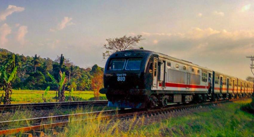 Trains plying along the main railway delayed
