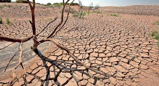 14,000 acres of crops destroyed due to dry weather