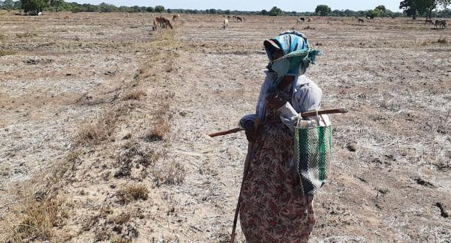 66,234 acres of crops damaged during Yala season