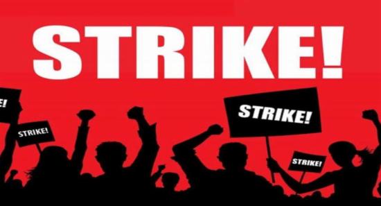 Professionals Trade Unions to launch strike
