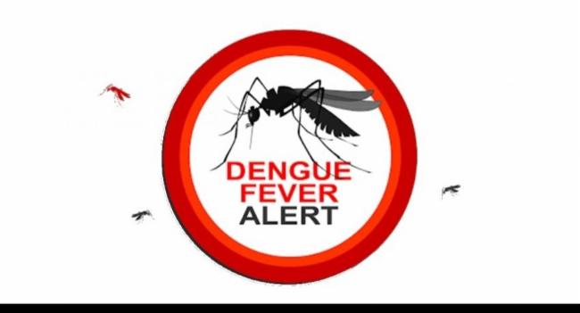 Dengue Grips Sri Lanka, 6,000+ Cases in December