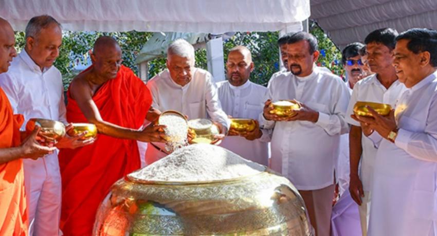 National New Year's rice festival to be held under President’s patronage