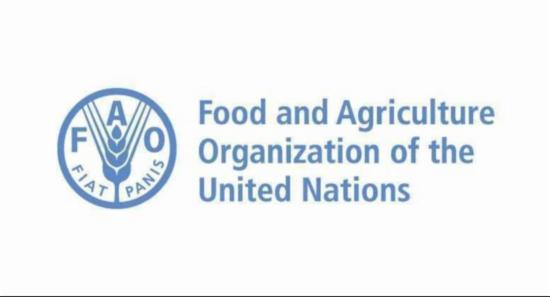 FAO's GAP Initiative Boosts Modernization