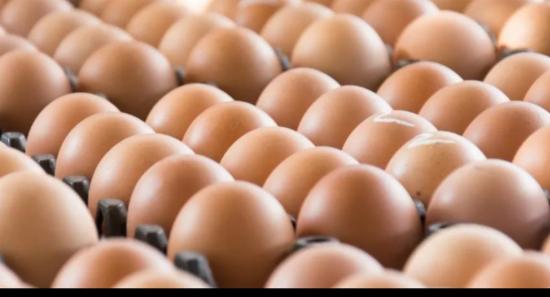 Daily Egg Consumption Surges to 11 Million