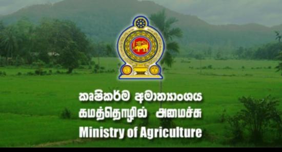 Ministry of Agriculture Begins Paddy Stock Survey