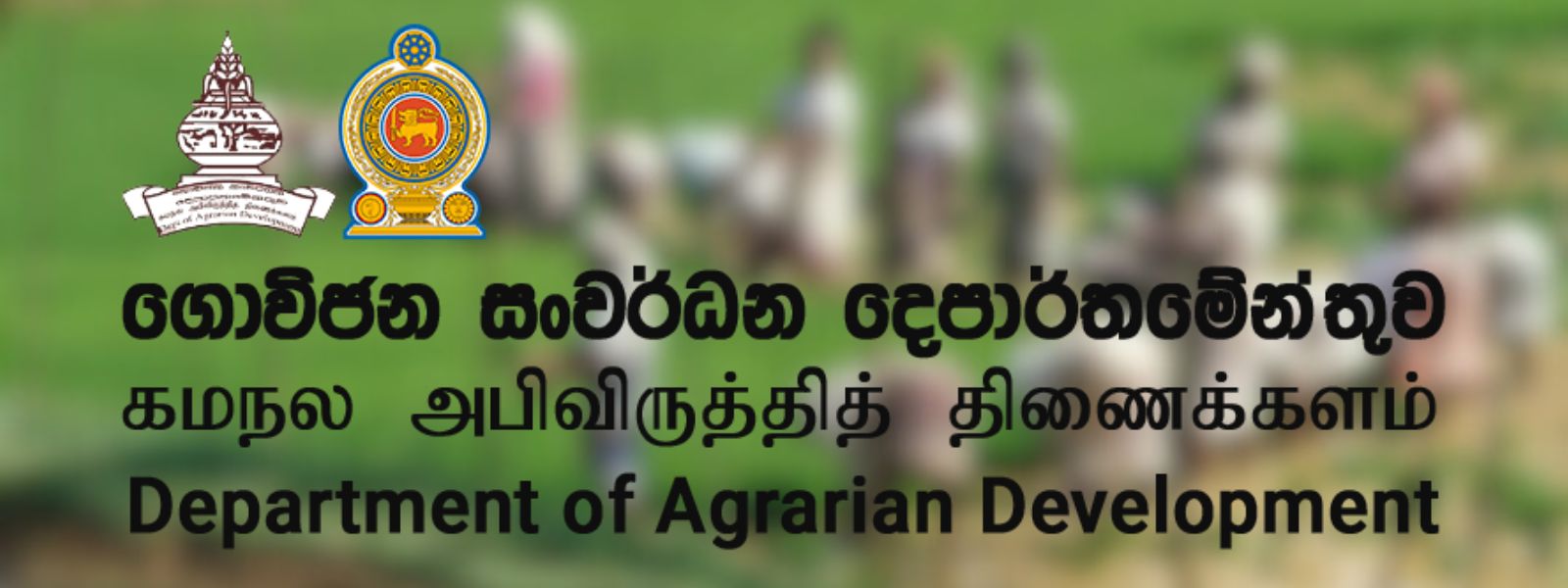 Fertilizer Subsidy Fully Provided to over 228,000 Farmers