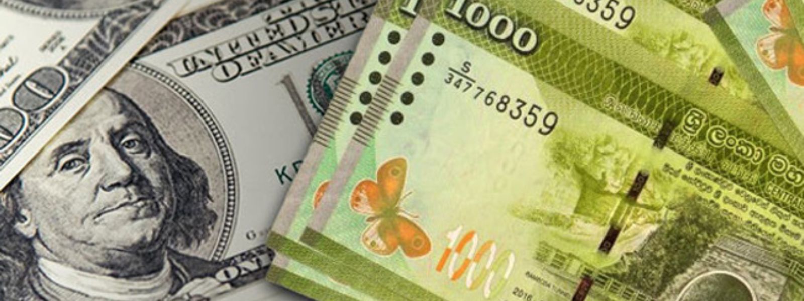 dollar to sri lankan rupee