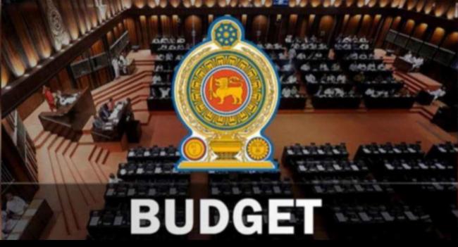 2025 Budget Passed by Majority of 114 Votes
