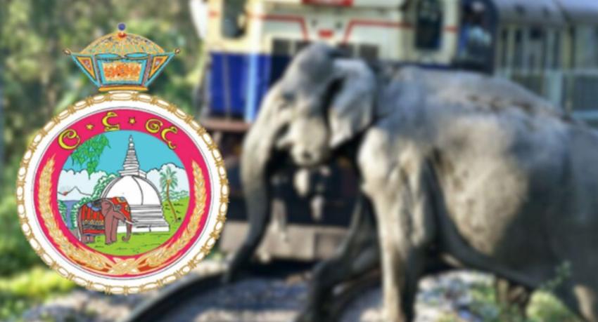 Department of Railways Tests New Device Developed to Prevent Elephant ...