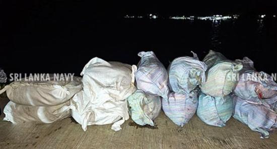 Navy Nabs Smuggled Ginger and Cardamom