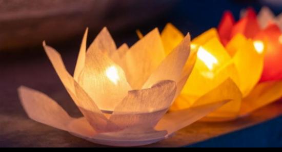 National Vesak Week Begins Today
