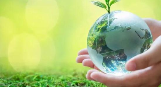 National Environment Day Celebration