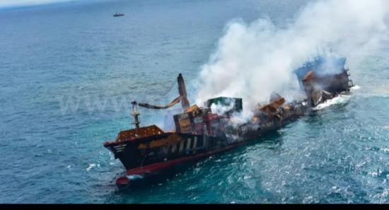 How A Shipwreck Poisoned A Sea & Silenced Turtles