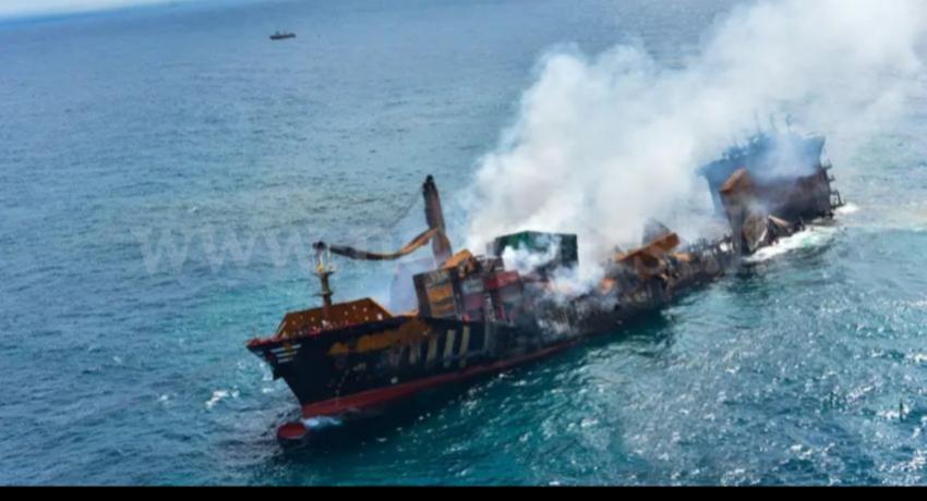 How A Shipwreck Poisoned A Sea & Silenced Turtles