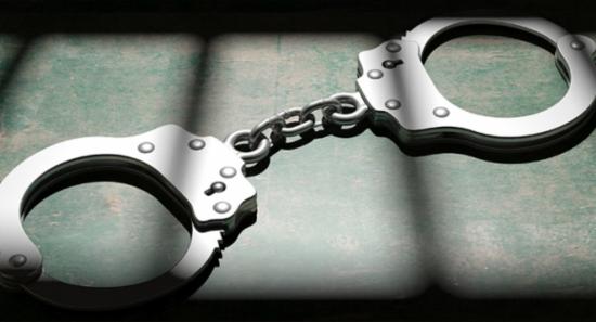 Organized Crime Gang Member Among 11 Arrested