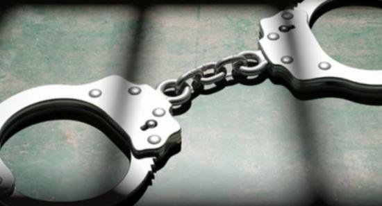 Massive Crime Bust: Hundreds Caught