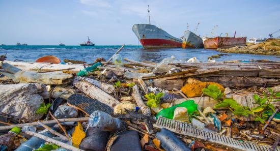 Coastal Cleanup Day Marked Across Sri Lanka