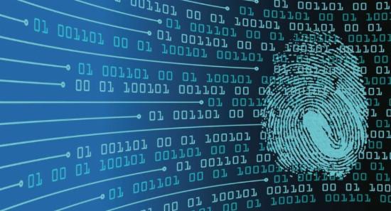 Lawyer or Accomplice? Trail of Criminal Support