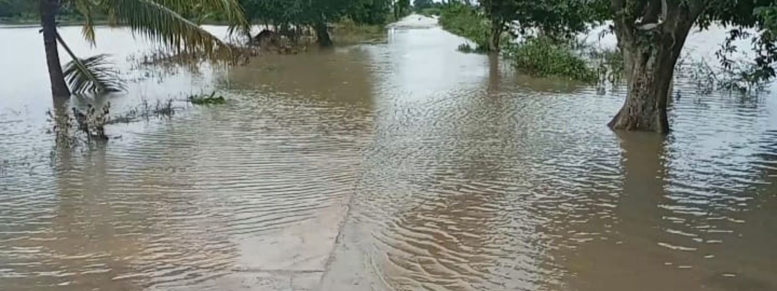 11 Dead, 7 Missing as Rains Ravage Badulla