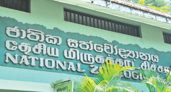 SL’s National Parks See 5% Visitor Surge in 2025