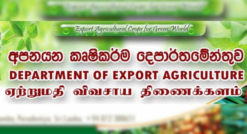 Dept of Export Agriculture to Provide Relief for Disaster-hit Crops