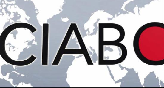 More than 80 Public Officials Arrested in 2025