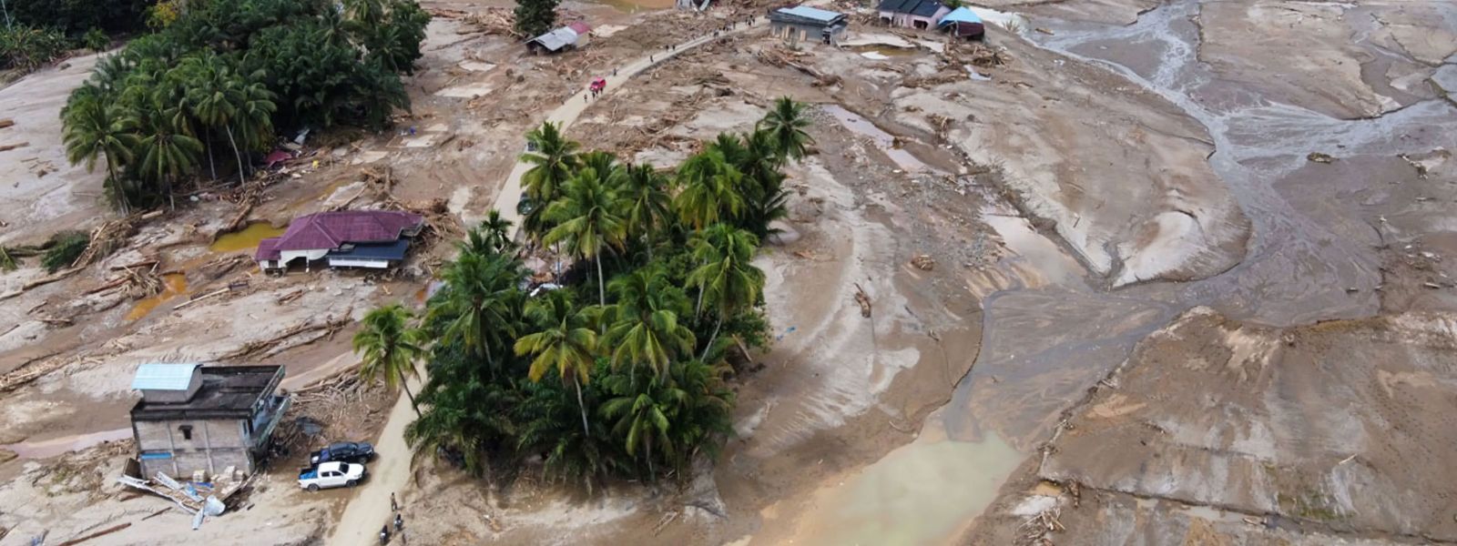 Ditwah Destroys 34% of Hill Country Forests