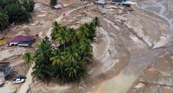 Ditwah Destroys 34% of Hill Country Forests