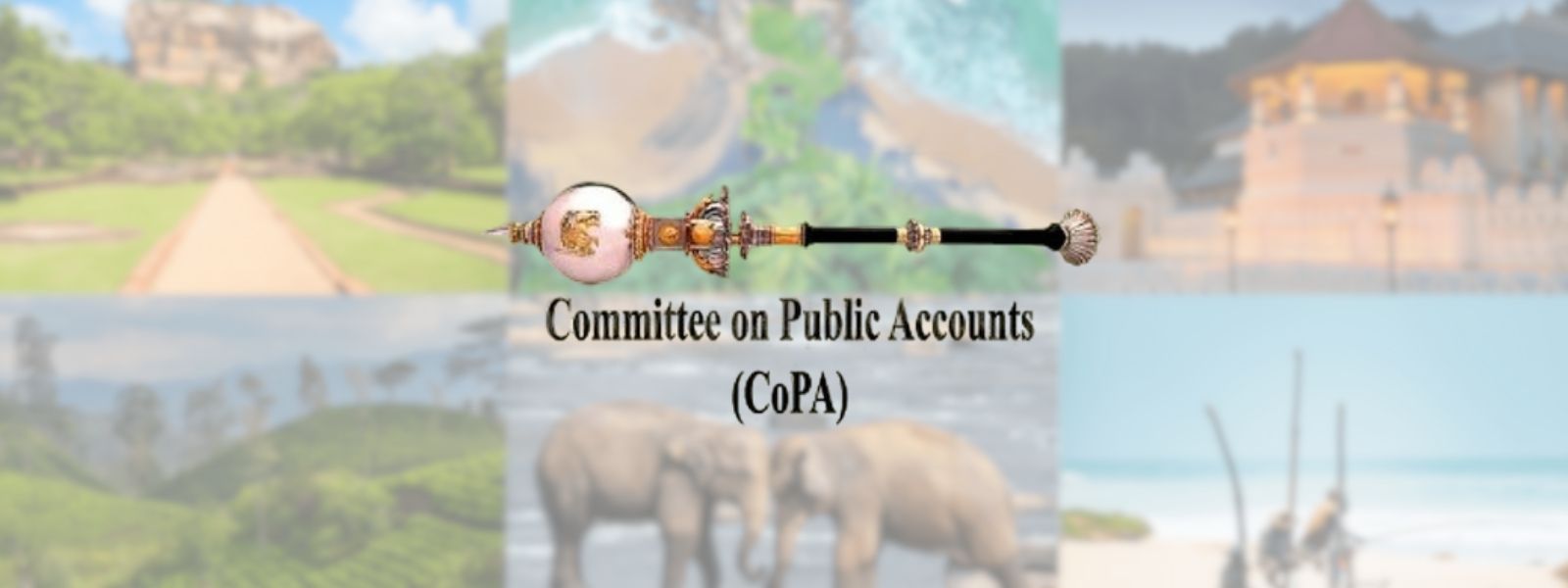 48% of Archaeological Sites Yet to Be Gazetted