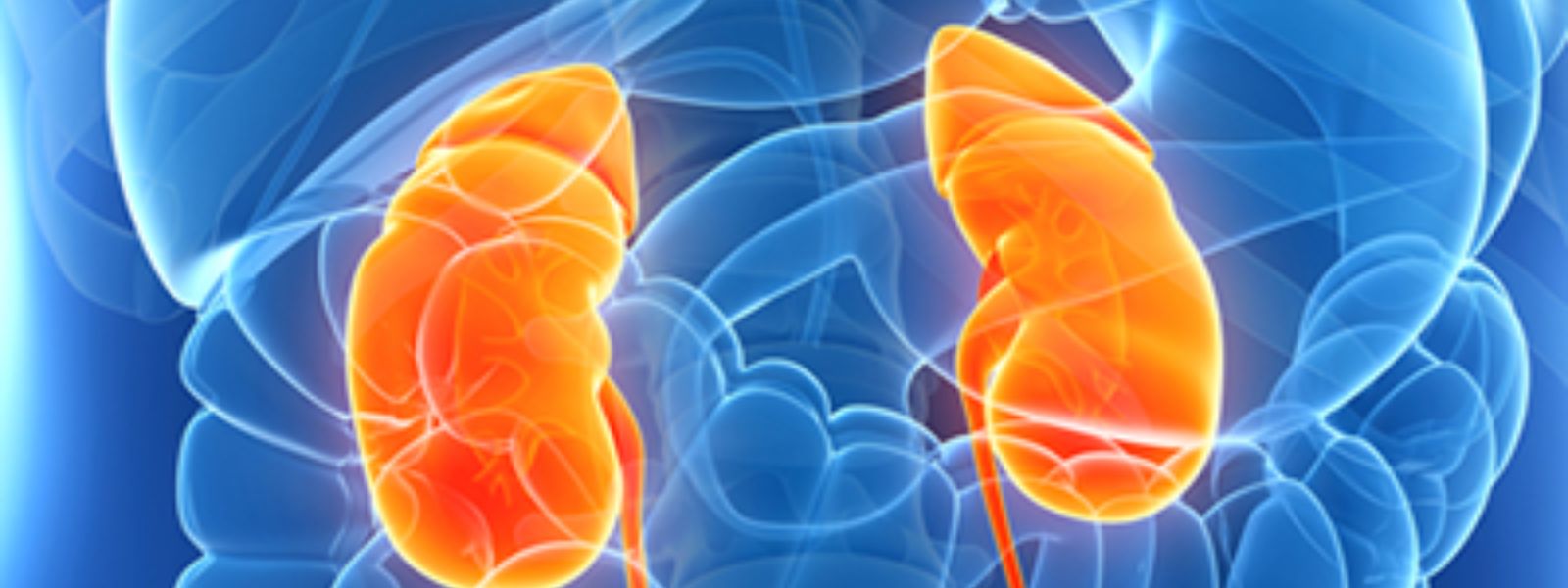 10% of Kidney Patients Unaware of Their Condition